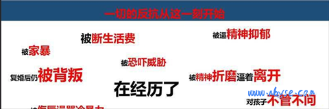 合肥公务员刘晨洁被前妻举报婚内出轨、博士学历造假 53 页 PPT 来了 第3张