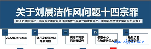 合肥公务员刘晨洁被前妻举报婚内出轨、博士学历造假 53 页 PPT 来了 第2张